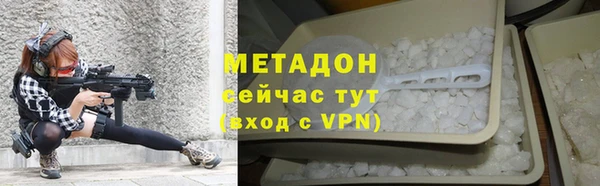 прущие грибы Новозыбков