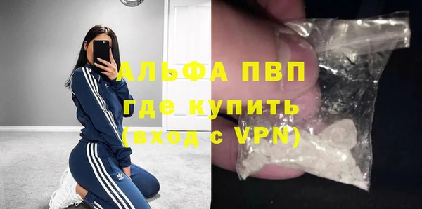 прущие грибы Новозыбков