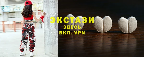 прущие грибы Новозыбков