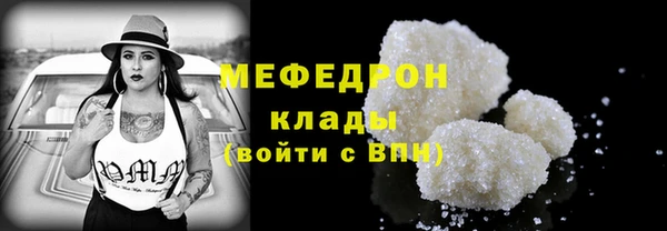 прущие грибы Новозыбков