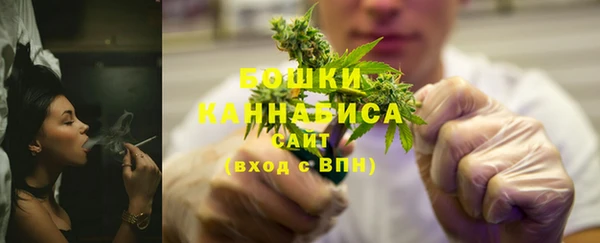 крисы Новокубанск