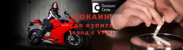 прущие грибы Новозыбков
