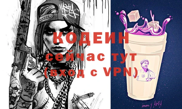 прущие грибы Новозыбков