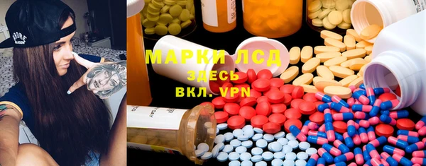 прущие грибы Новозыбков
