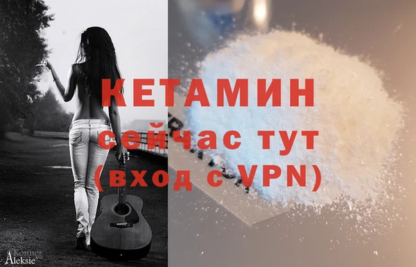 прущие грибы Новозыбков