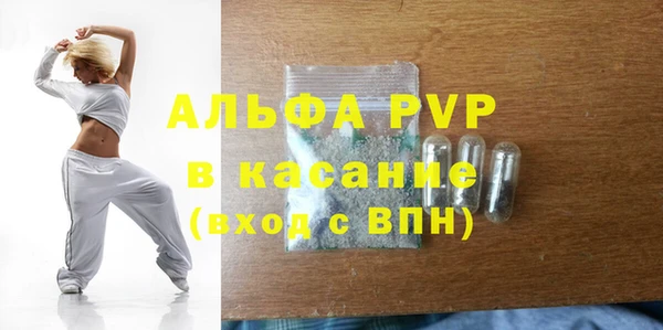 прущие грибы Новозыбков