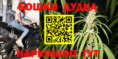 PSILOCYBIN Кингисепп