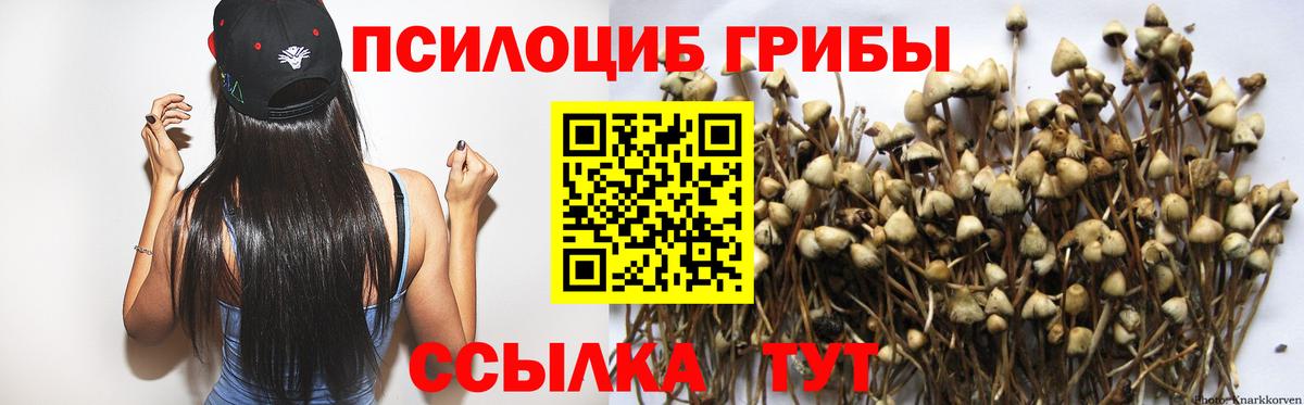Реж  Псилоцибиновые грибы GOLDEN TEACHER  Вход с VPN  где продают наркотики  Галлюциногенные грибы мицелий 